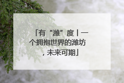有“潍”度丨一个拥抱世界的潍坊，未来可期