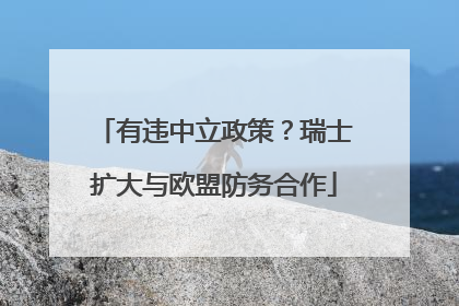 有违中立政策？瑞士扩大与欧盟防务合作