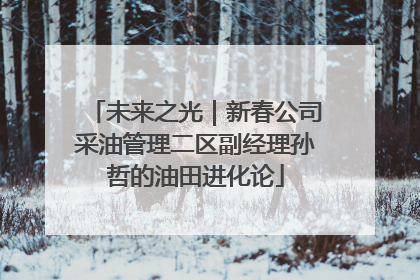 未来之光｜新春公司采油管理二区副经理孙哲的油田进化论