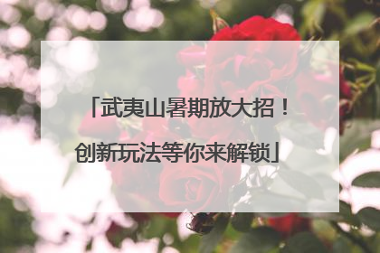 武夷山暑期放大招！创新玩法等你来解锁