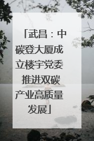 武昌：中碳登大厦成立楼宇党委 推进双碳产业高质量发展