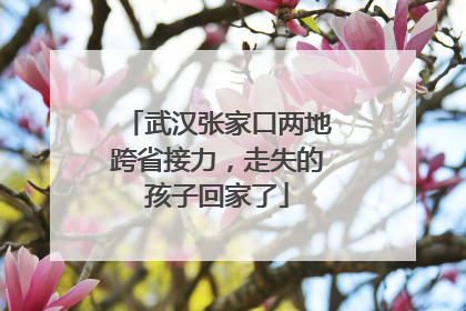 武汉张家口两地跨省接力，走失的孩子回家了