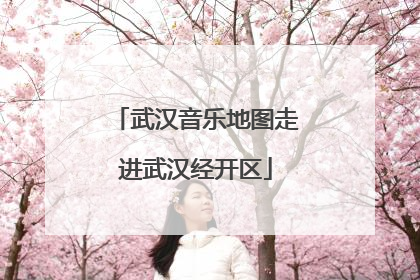 武汉音乐地图走进武汉经开区