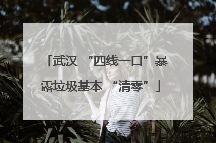 武汉 “四线一口”暴露垃圾基本 “清零”