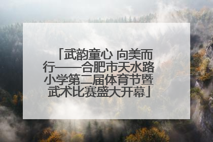 武韵童心 向美而行——合肥市天水路小学第二届体育节暨武术比赛盛大开幕