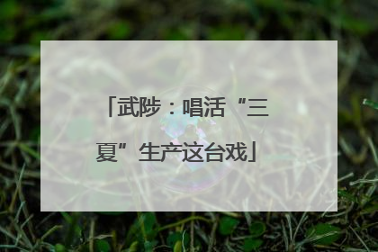 武陟：唱活“三夏”生产这台戏