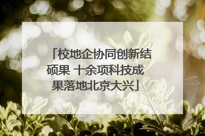 校地企协同创新结硕果 十余项科技成果落地北京大兴