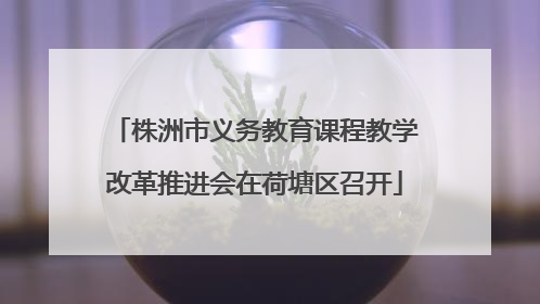 株洲市义务教育课程教学改革推进会在荷塘区召开