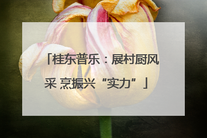 桂东普乐：展村厨风采 烹振兴“实力”