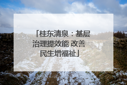 桂东清泉：基层治理提效能 改善民生增福祉
