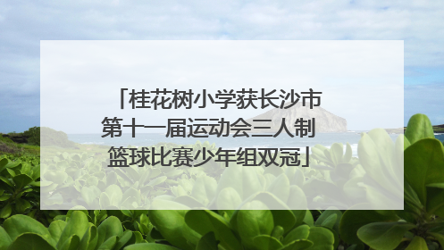 桂花树小学获长沙市第十一届运动会三人制篮球比赛少年组双冠