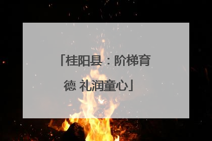桂阳县：阶梯育德 礼润童心