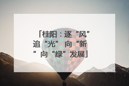 桂阳：逐“风”追“光” 向“新”向“绿”发展