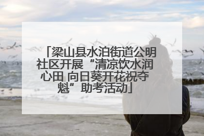 梁山县水泊街道公明社区开展“清凉饮水润心田 向日葵开花祝夺魁”助考活动