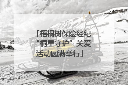 梧桐树保险经纪“桐星守护”关爱活动圆满举行