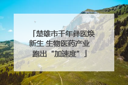 楚雄市千年彝医焕新生 生物医药产业跑出“加速度”