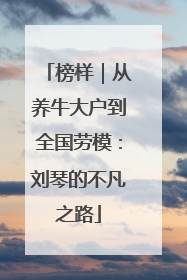 榜样｜从养牛大户到全国劳模：刘琴的不凡之路