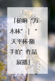 槌响“万木林”｜“天平杯·随手拍”作品展播