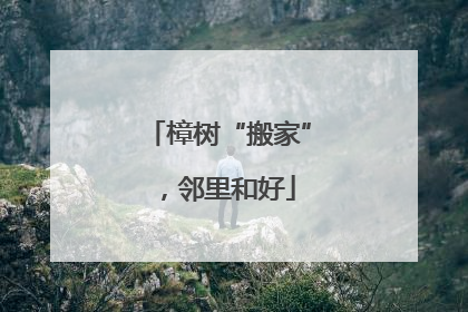 樟树“搬家”，邻里和好