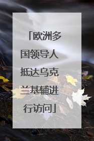 欧洲多国领导人抵达乌克兰基辅进行访问