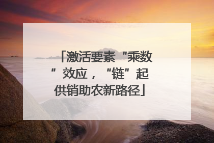 激活要素“乘数”效应，“链”起供销助农新路径