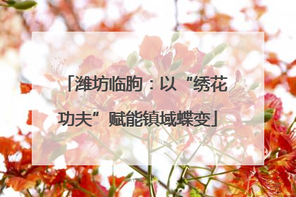 潍坊临朐：以“绣花功夫”赋能镇域蝶变