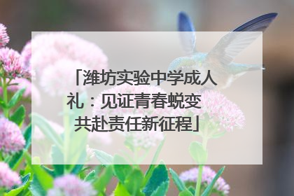潍坊实验中学成人礼：见证青春蜕变 共赴责任新征程