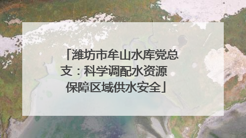 潍坊市牟山水库党总支：科学调配水资源 保障区域供水安全