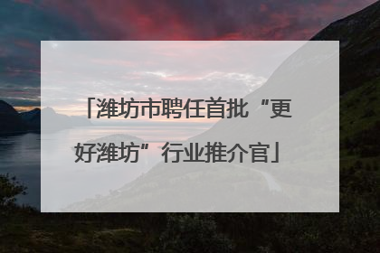 潍坊市聘任首批“更好潍坊”行业推介官