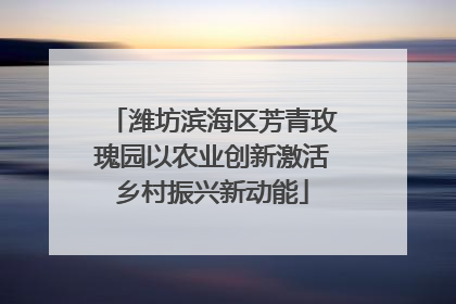 潍坊滨海区芳青玫瑰园以农业创新激活乡村振兴新动能