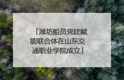 潍坊船员党建赋能联合体在山东交通职业学院成立