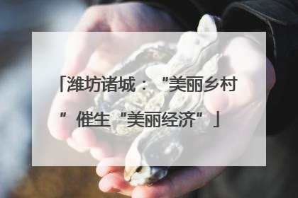 潍坊诸城：“美丽乡村”催生“美丽经济”
