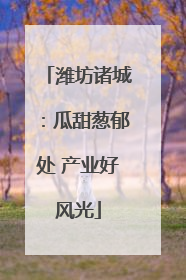 潍坊诸城：瓜甜葱郁处 产业好风光