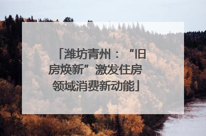 潍坊青州：“旧房焕新”激发住房领域消费新动能