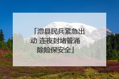 澧县民兵紧急出动 连夜封堵管涌除险保安全