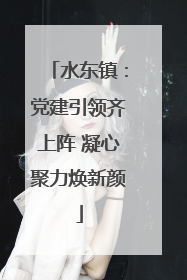 水东镇：党建引领齐上阵 凝心聚力焕新颜