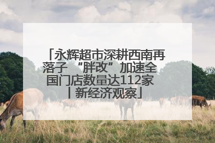 永辉超市深耕西南再落子 “胖改”加速全国门店数量达112家丨新经济观察