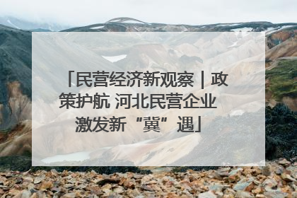 民营经济新观察｜政策护航 河北民营企业激发新“冀”遇