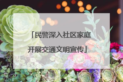 民警深入社区家庭开展交通文明宣传