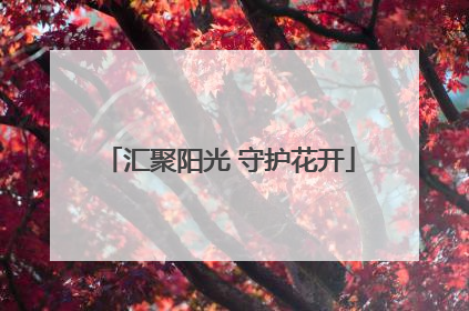 汇聚阳光 守护花开