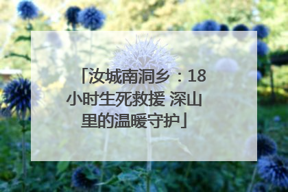 汝城南洞乡：18小时生死救援 深山里的温暖守护