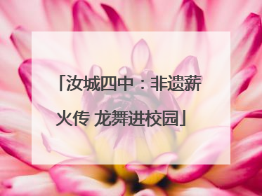 汝城四中：非遗薪火传 龙舞进校园