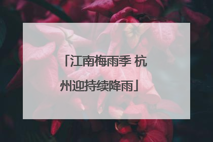江南梅雨季 杭州迎持续降雨