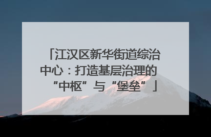 江汉区新华街道综治中心：打造基层治理的“中枢”与“堡垒”