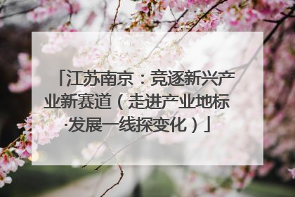 江苏南京：竞逐新兴产业新赛道（走进产业地标·发展一线探变化）