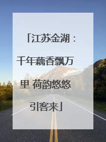 江苏金湖：千年藕香飘万里 荷韵悠悠引客来