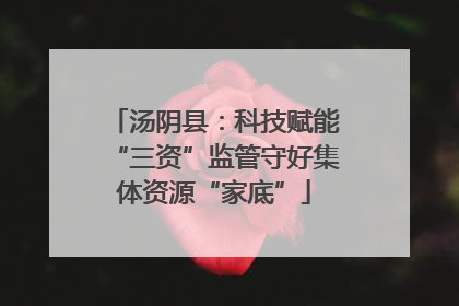 汤阴县：科技赋能“三资”监管守好集体资源“家底”