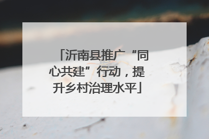沂南县推广“同心共建”行动，提升乡村治理水平