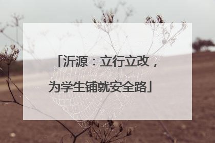 沂源：立行立改，为学生铺就安全路