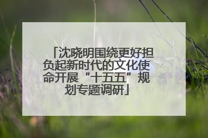 沈晓明围绕更好担负起新时代的文化使命开展“十五五”规划专题调研